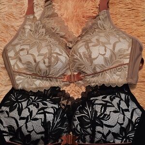 Elegant Lace Bras - Black and Tan